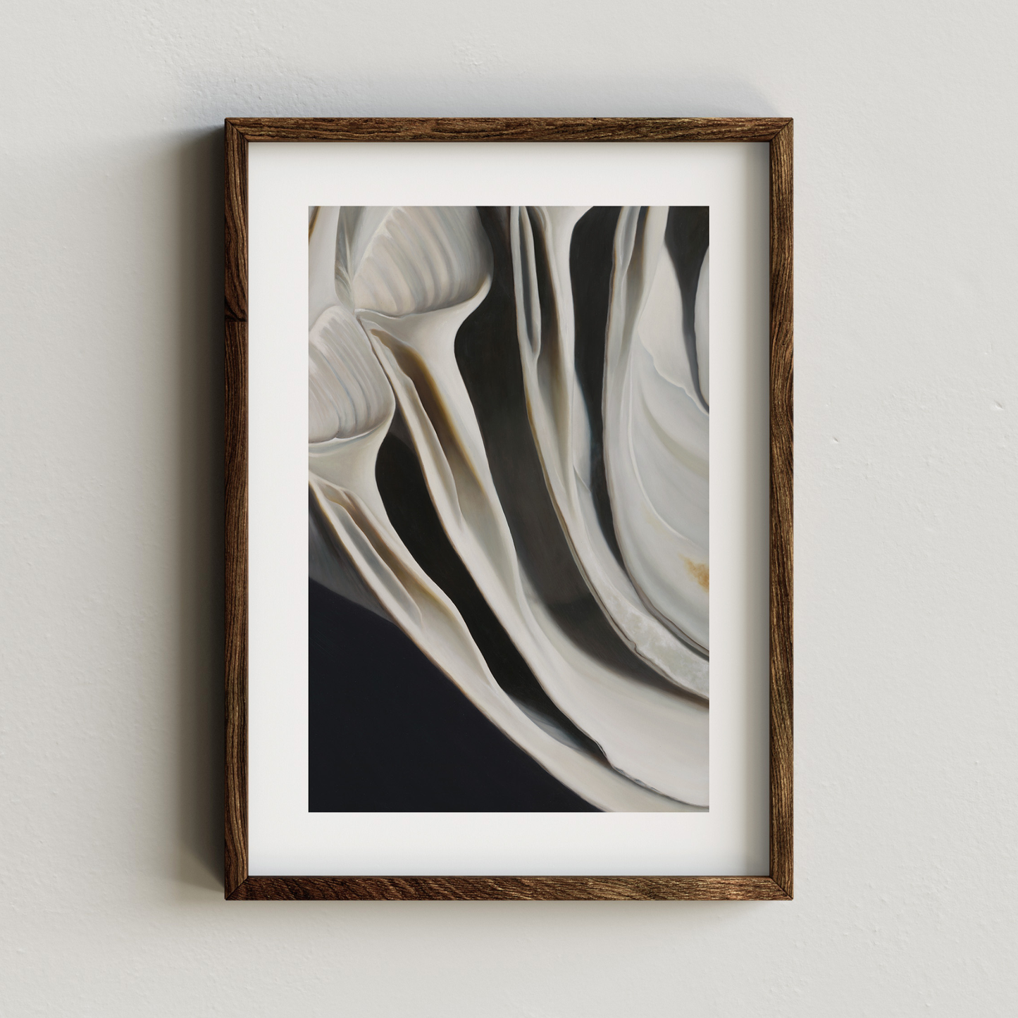 'Nested Surf Clams No. 7' Limited Edition Print