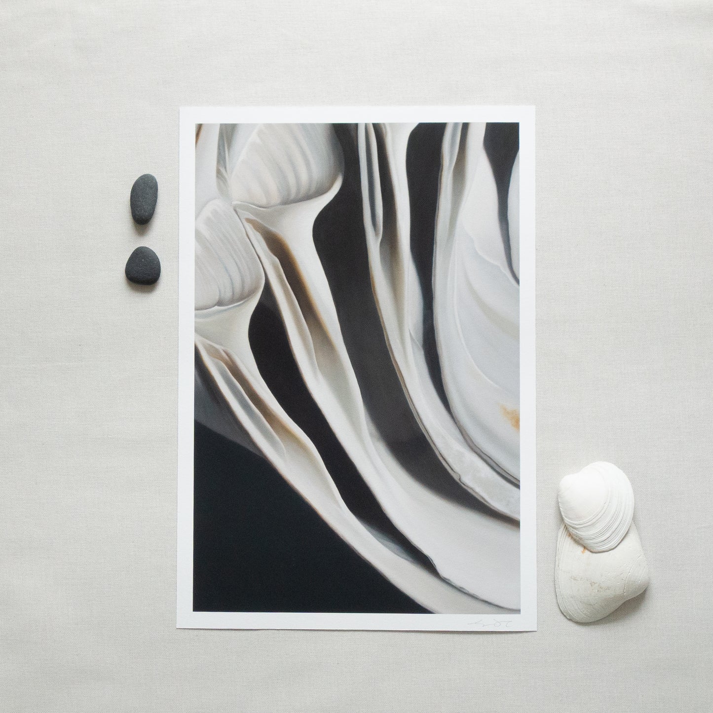 Surf Clams, Driftwood & Bones Set of Four