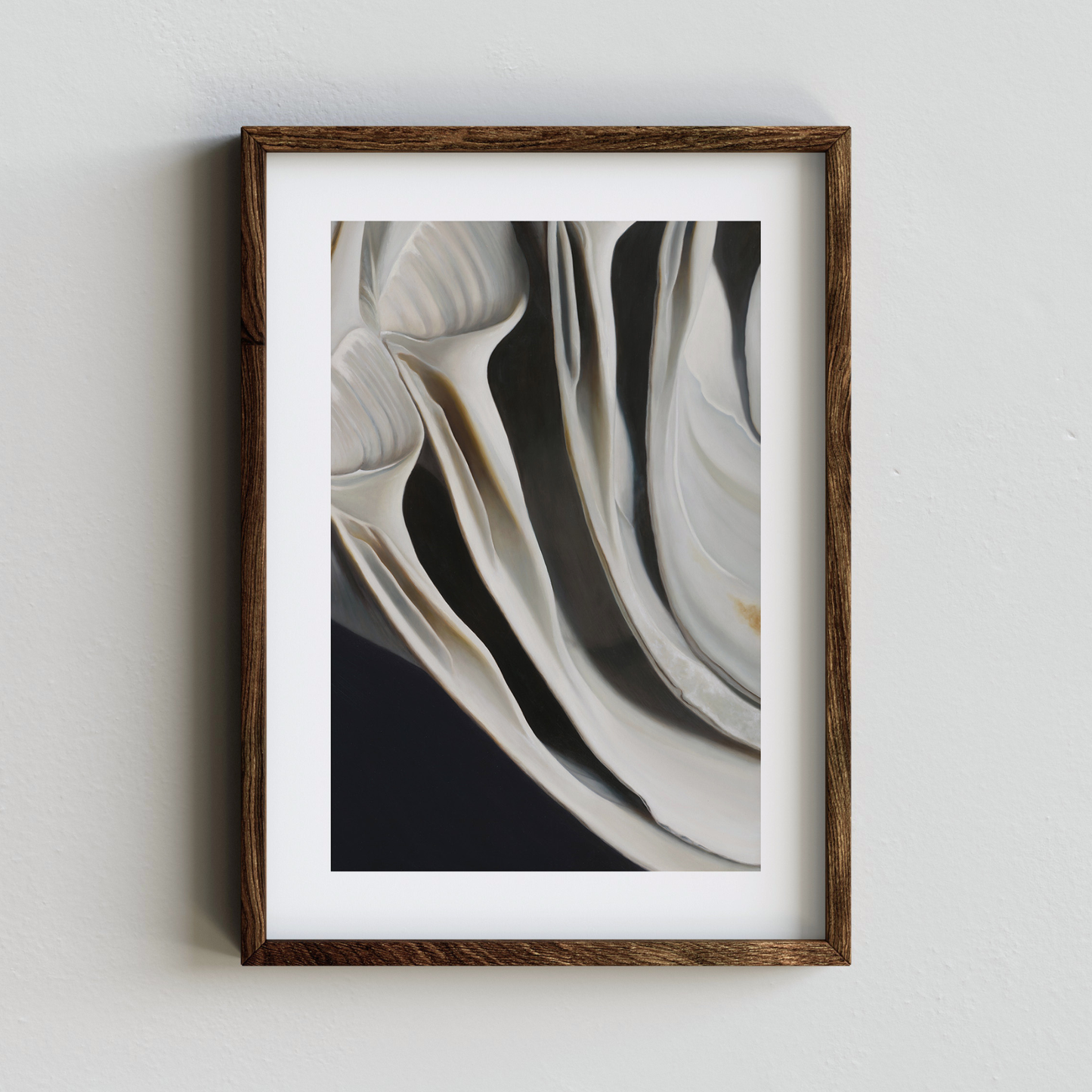 Surf Clams, Driftwood & Bones Set of Four