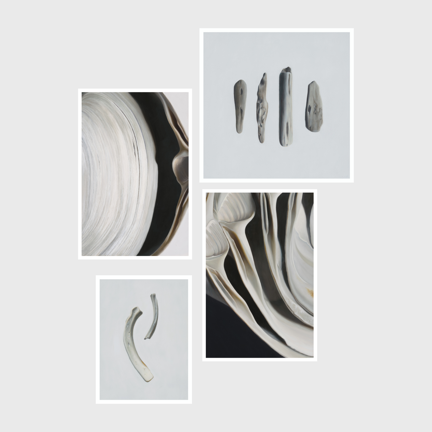 Surf Clams, Driftwood & Bones Set of Four