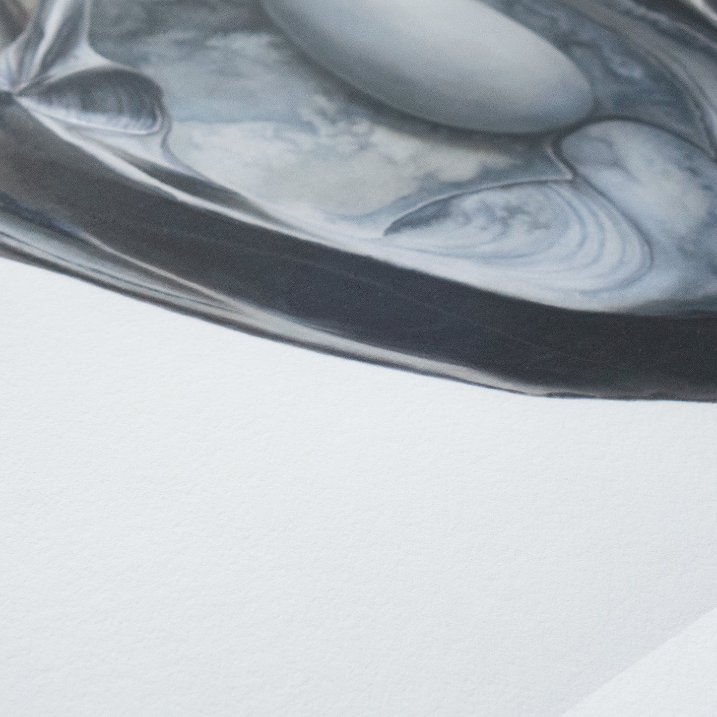 Nested Surf Clams + Stone No. 3 | Driftwood No. 1 Diptych