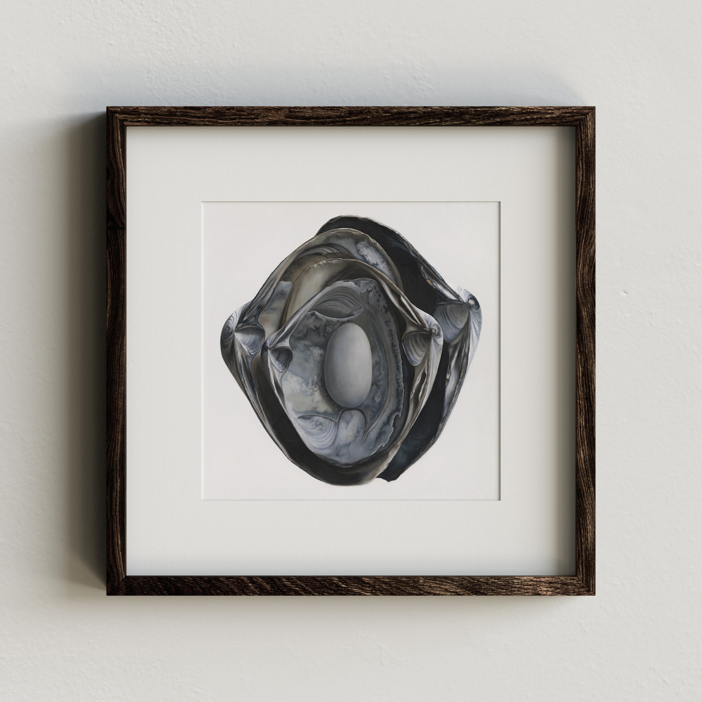 'Nested Surf Clams + Stone No. 3' Limited Edition Print
