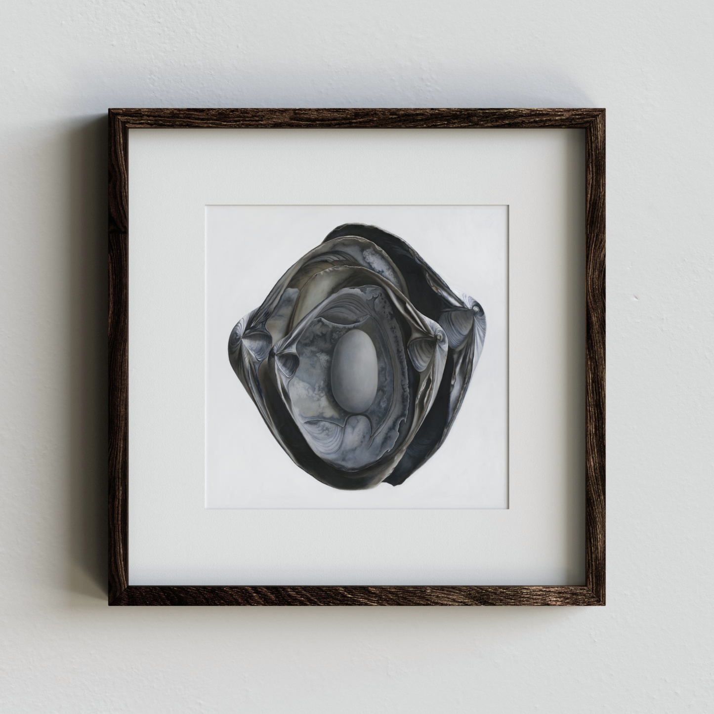 'Nested Surf Clams + Stone No. 3' Limited Edition Print