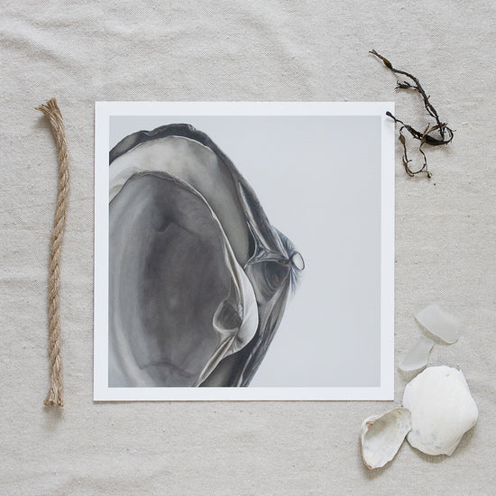 'Nested Surf Clams No. 4' Limited Edition Print