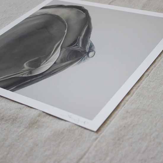 'Nested Surf Clams No. 4' Limited Edition Print