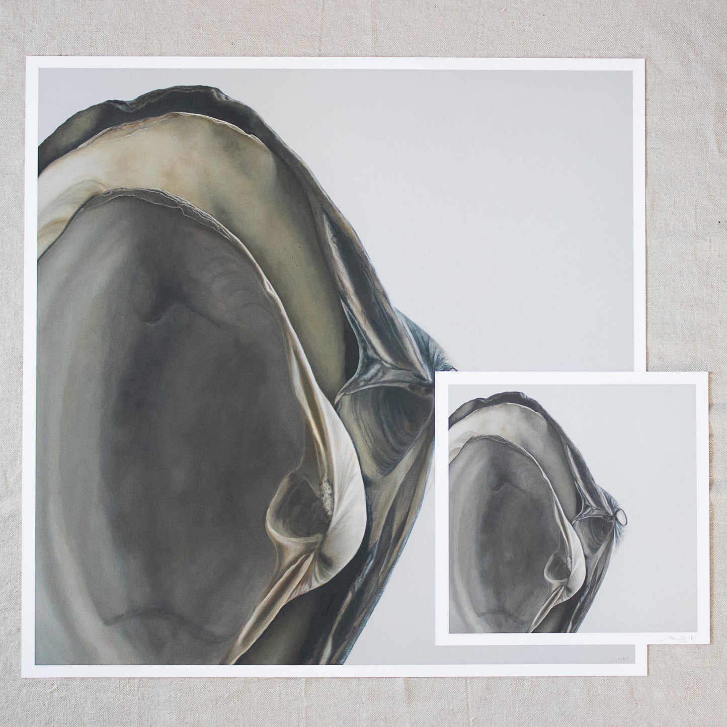 'Nested Surf Clams No. 4' Limited Edition Print