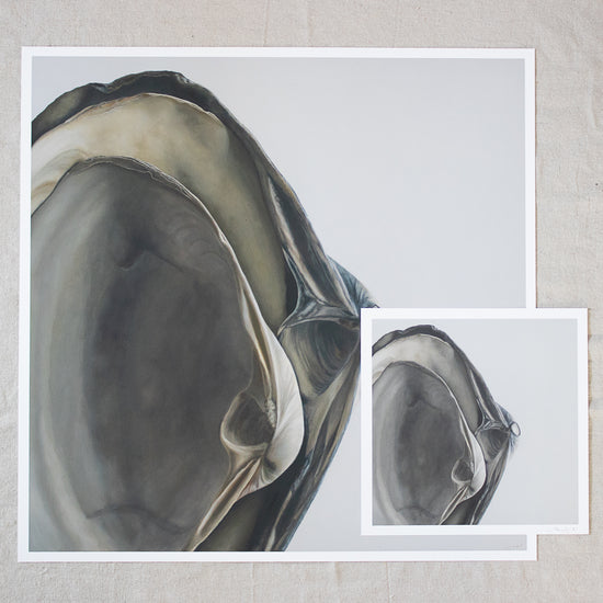 'Nested Surf Clams No. 4' Limited Edition Print