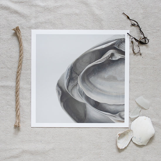 'Nested Surf Clams No. 5' Limited Edition Print