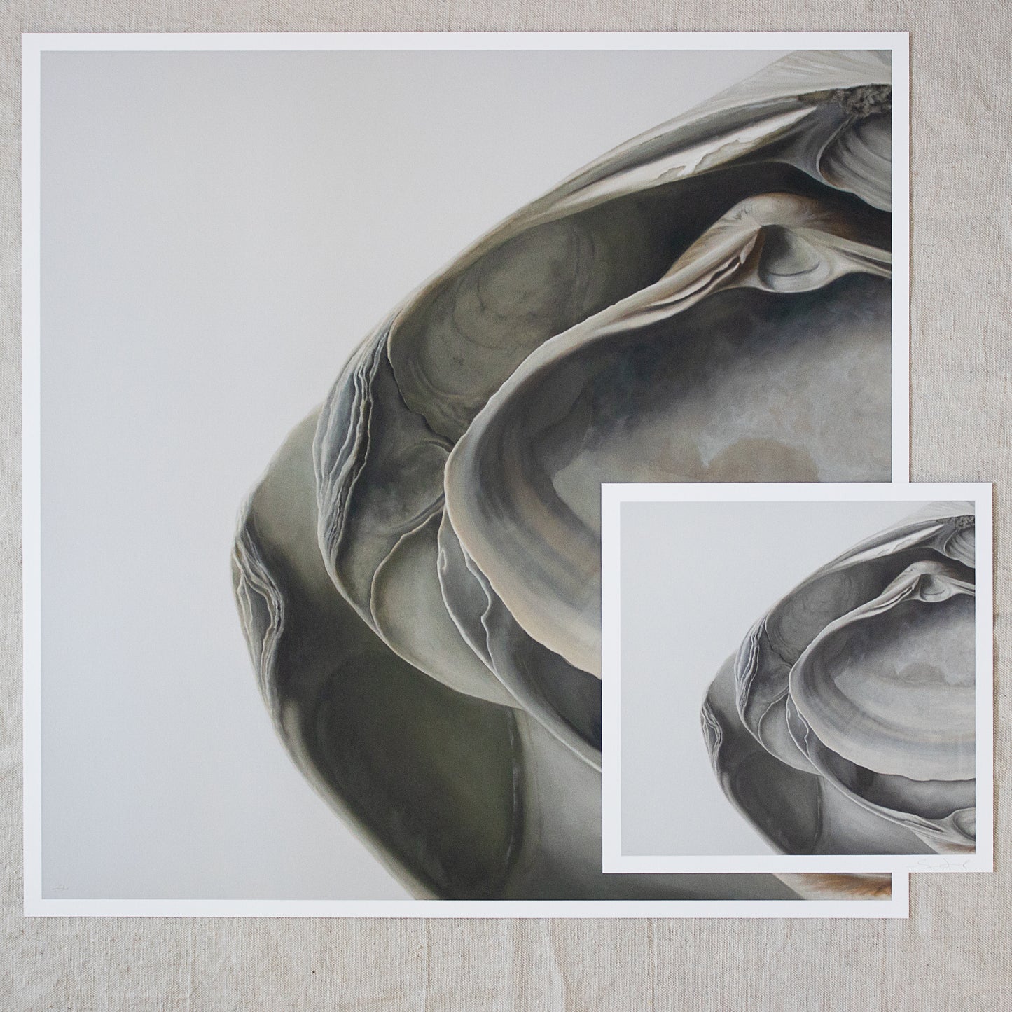 'Nested Surf Clams No. 5' Limited Edition Print