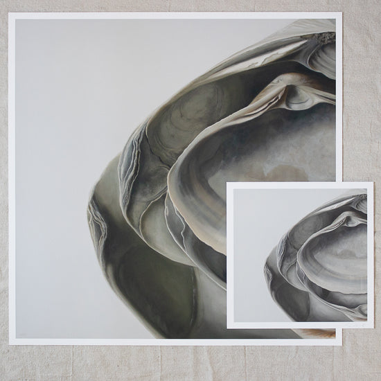 'Nested Surf Clams No. 5' Limited Edition Print