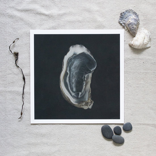 'Nested Oyster Shells' Limited Edition Print