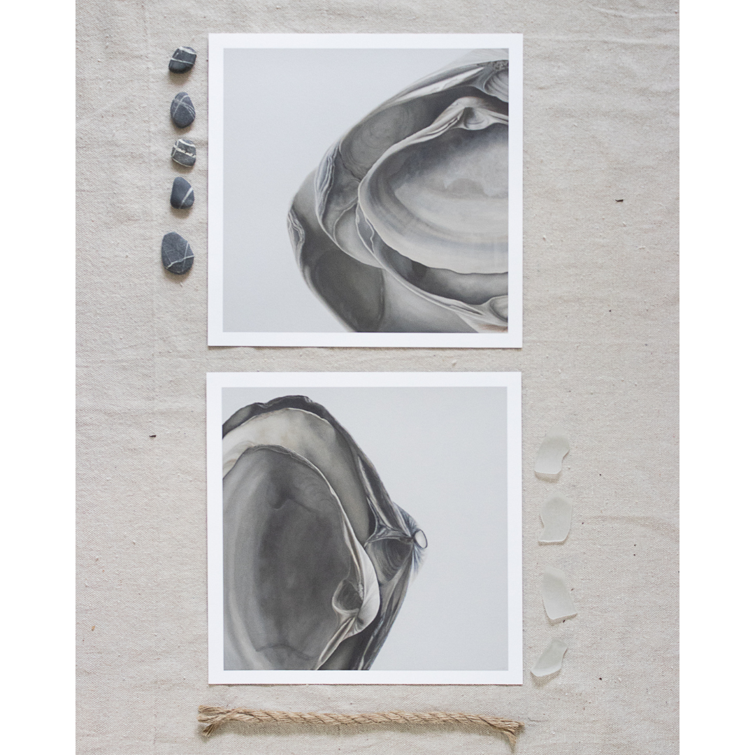 'Nested Surf Clams No. 5' Limited Edition Print