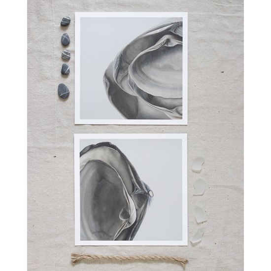'Nested Surf Clams No. 5' Limited Edition Print