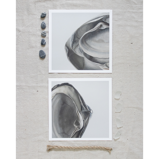 'Nested Surf Clams' Limited Edition Print Set