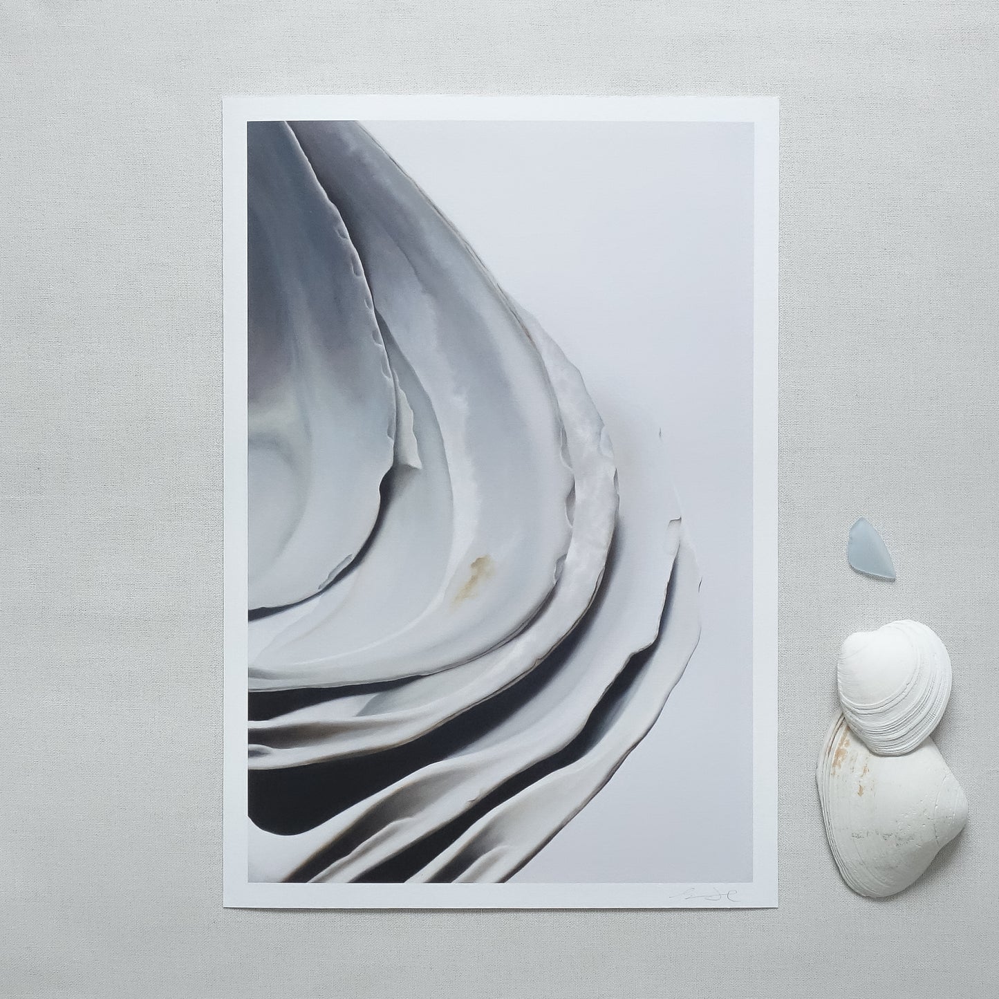 'Nested Surf Clams No. 6' Limited Edition Print