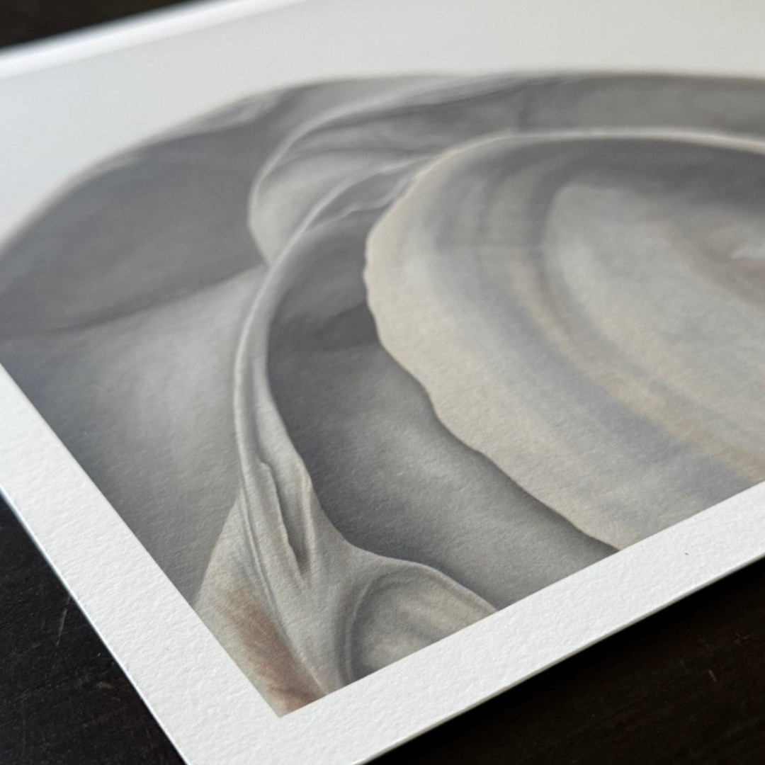 'Nested Surf Clams' Limited Edition Print Set