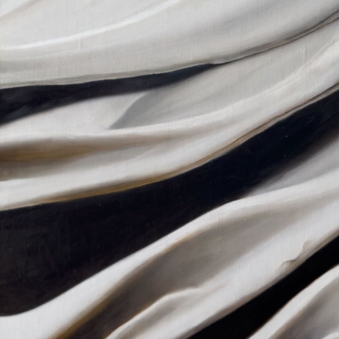 Nested Surf Clams No. 6