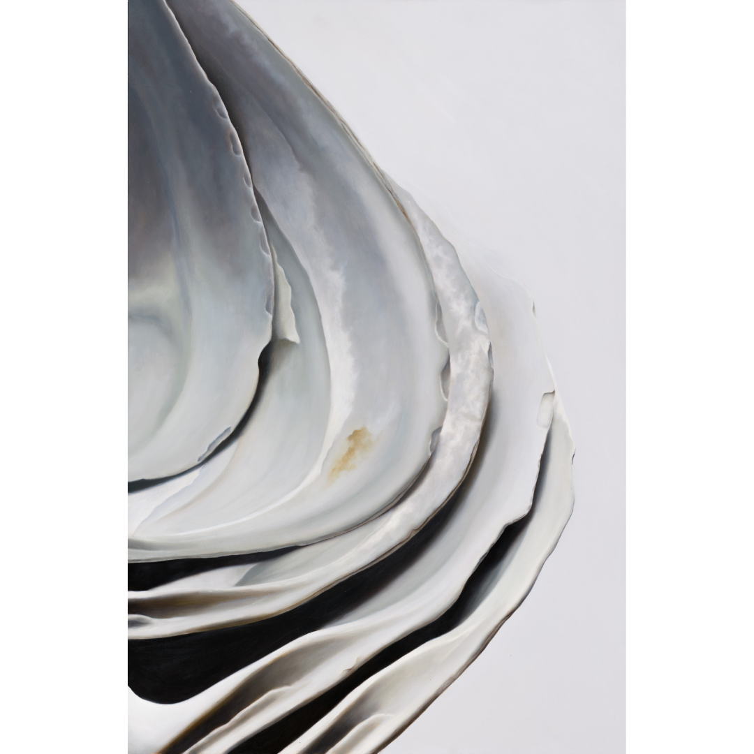 Nested Surf Clams No. 6