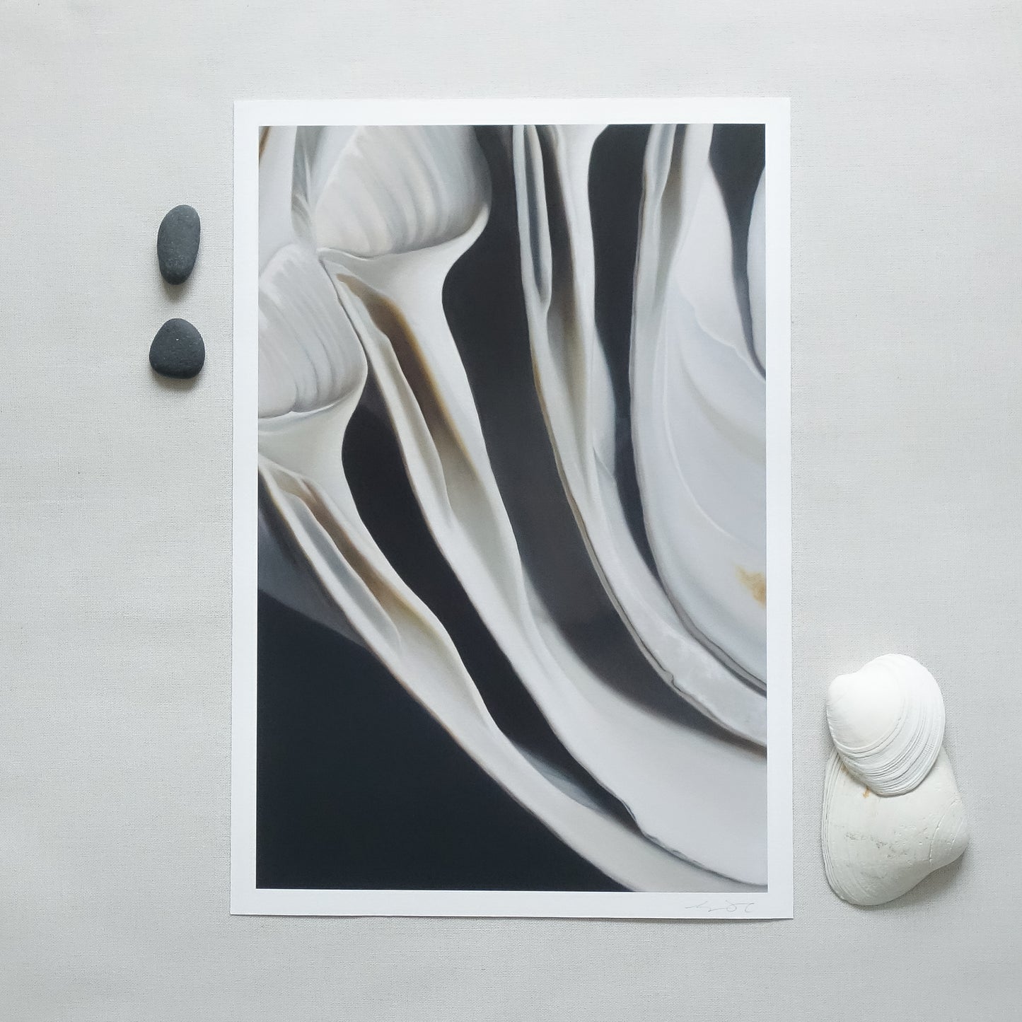 'Nested Surf Clams No. 7' Limited Edition Print