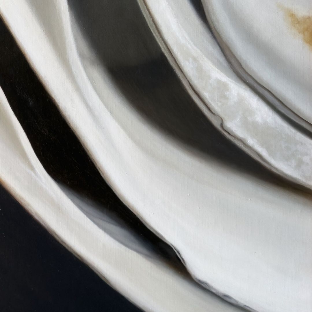 Nested Surf Clams No. 7