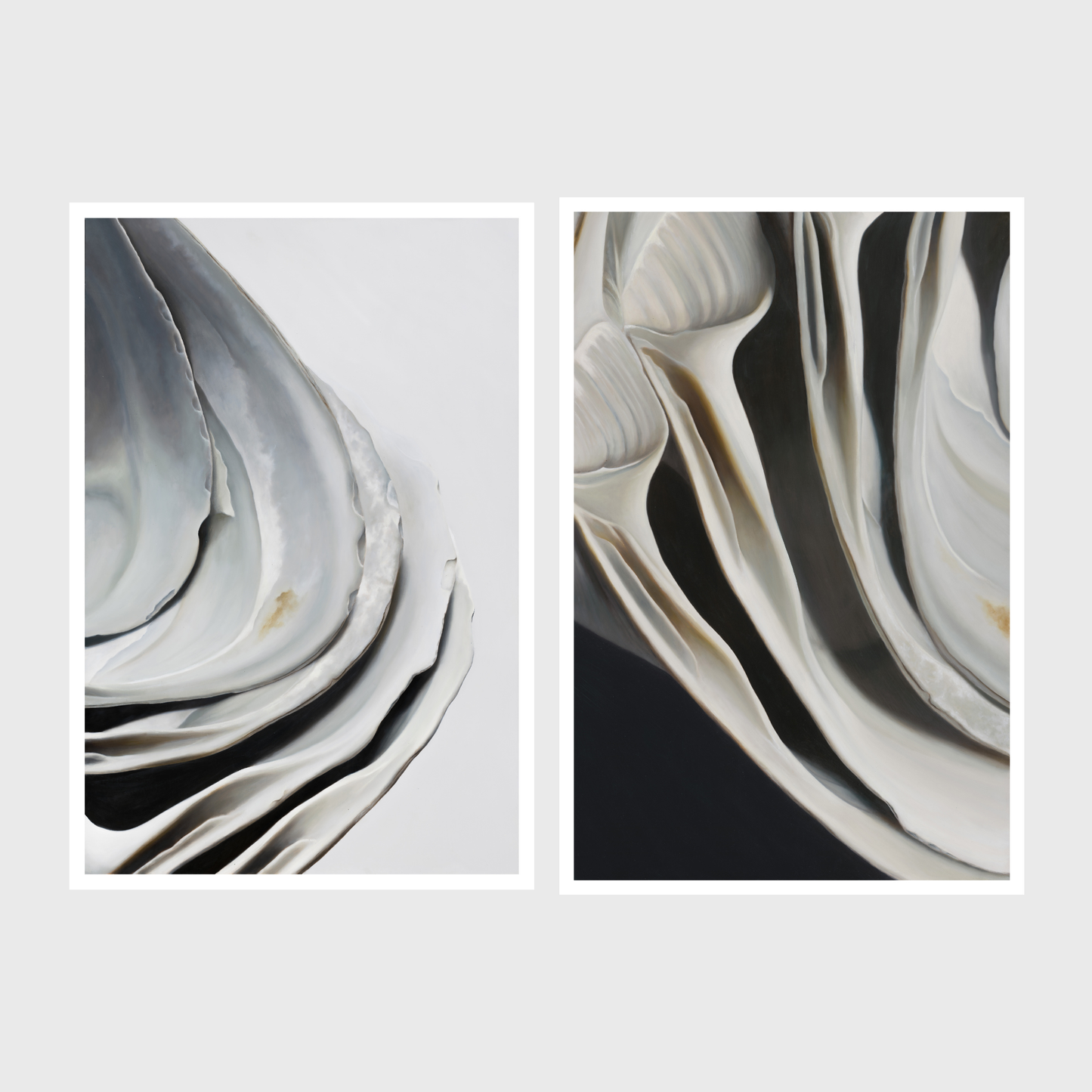 Nested Surf Clams No. 6 | Nested Surf Clams No. 7 Diptych