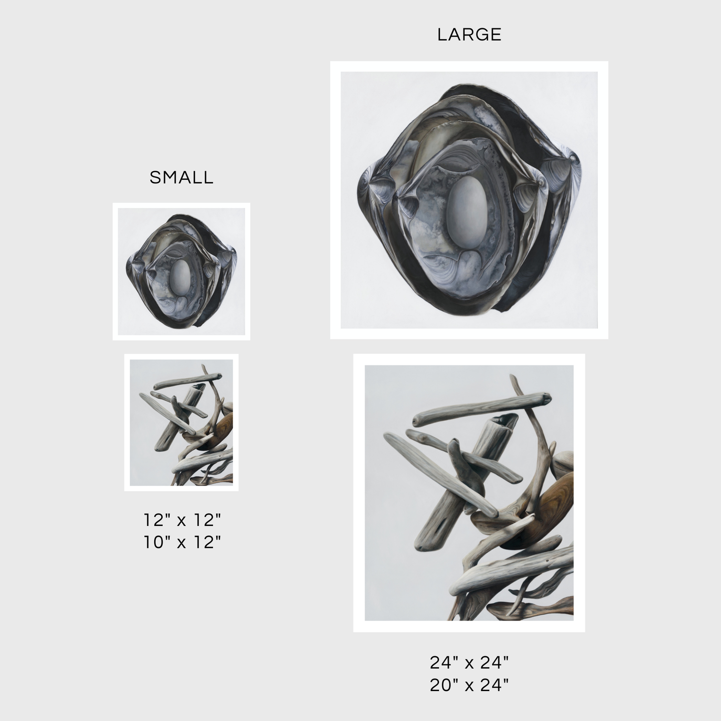 Nested Surf Clams + Stone No. 3 | Driftwood No. 1 Diptych