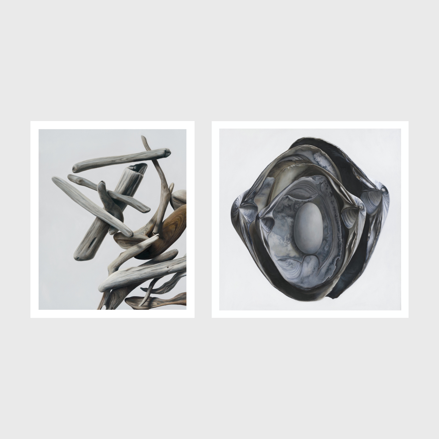 Nested Surf Clams + Stone No. 3 | Driftwood No. 1 Diptych