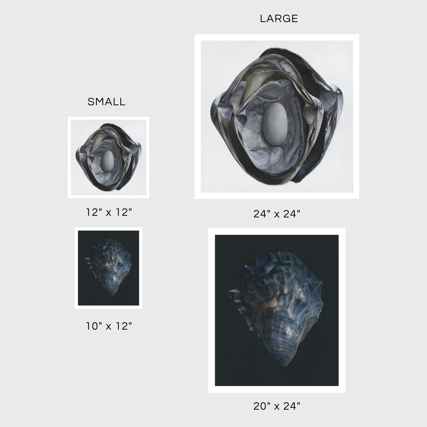 Nested Surf Clams + Stone No. 3 | Oyster Shell No. 4 Diptych