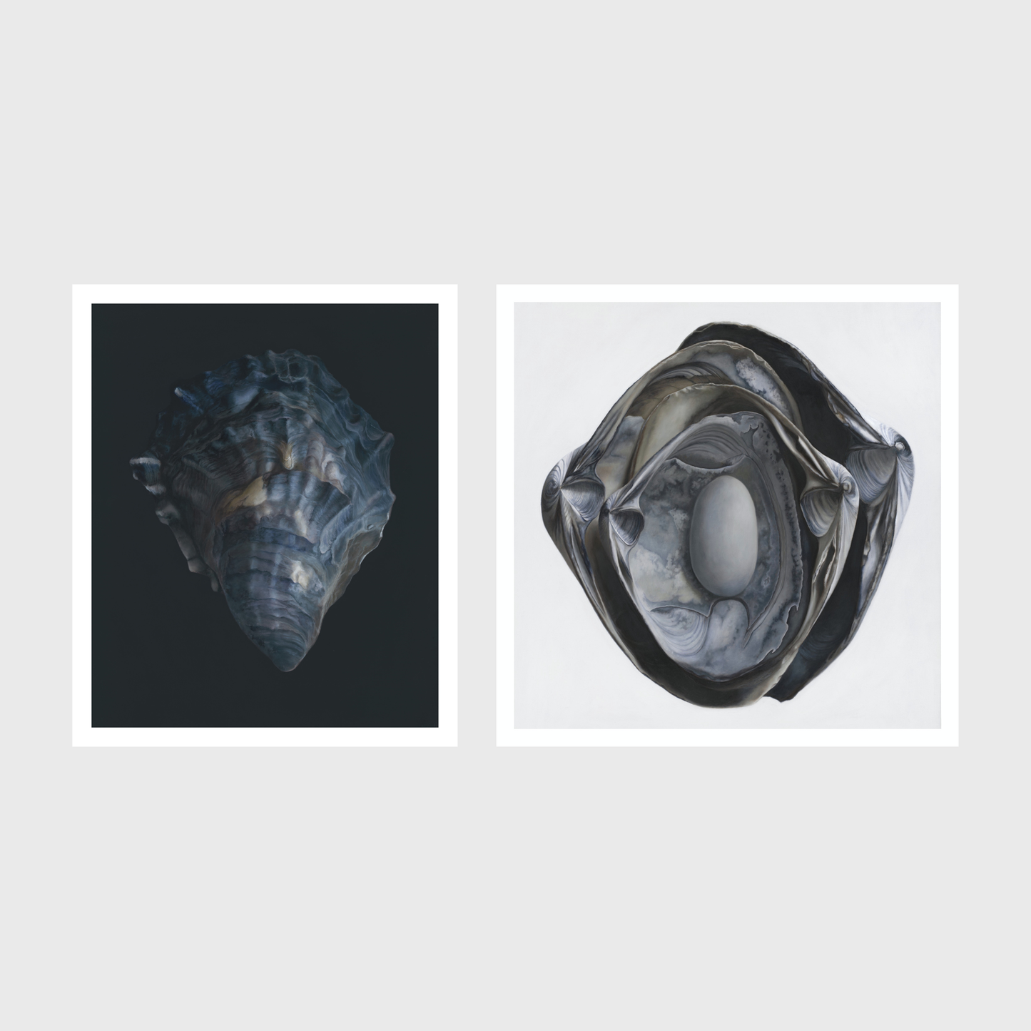 Nested Surf Clams + Stone No. 3 | Oyster Shell No. 4 Diptych