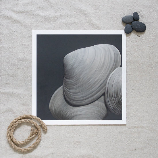 'Overlapping Surf Clams No. 2' Limited Edition Print