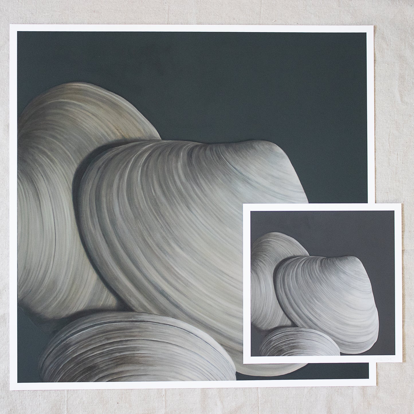 'Overlapping Surf Clams' Limited Edition Print Set