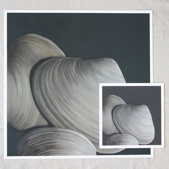 'Overlapping Surf Clams' Limited Edition Print Set