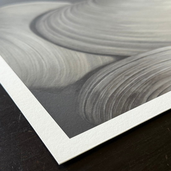 'Overlapping Surf Clams' Limited Edition Print Set