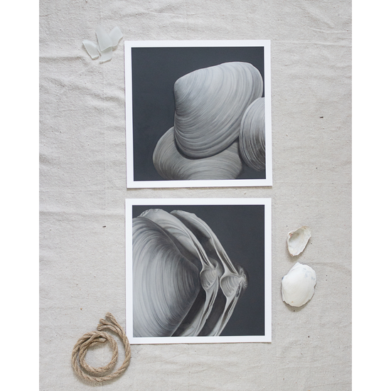 'Overlapping Surf Clams' Limited Edition Print Set