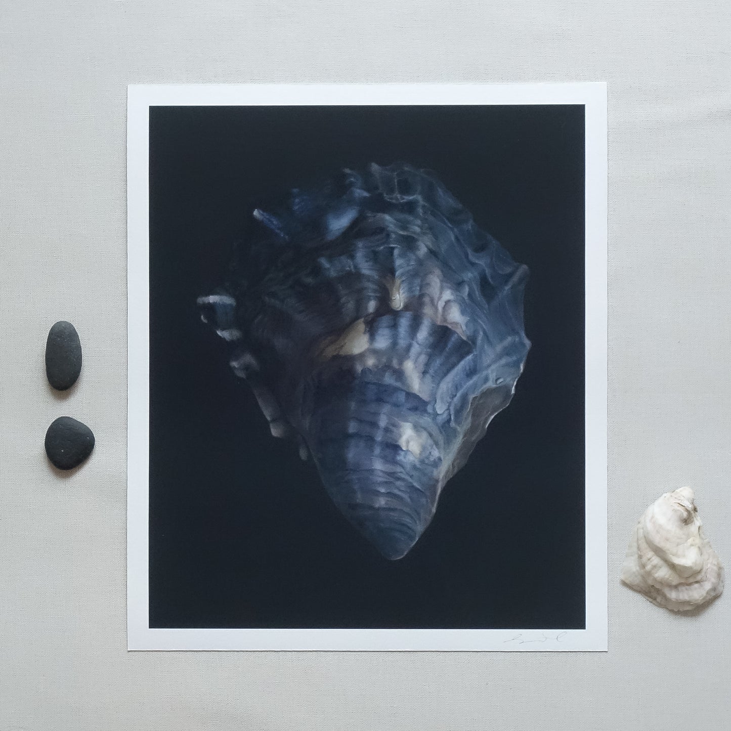 Surf Clam Pair No. 2 | Nested Surf Clams No. 7 | Oyster Shell No. 4 Triptych