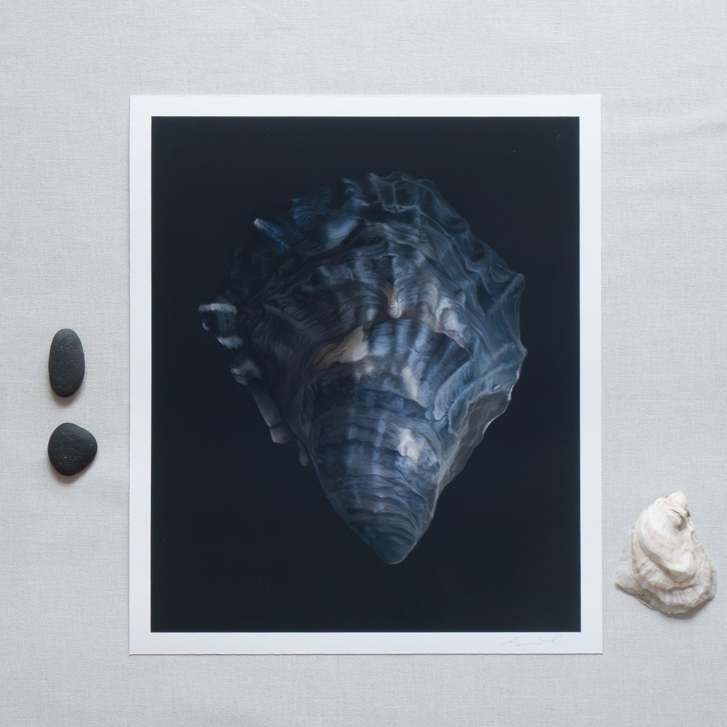 'Oyster Shell No. 4' Limited Edition Print