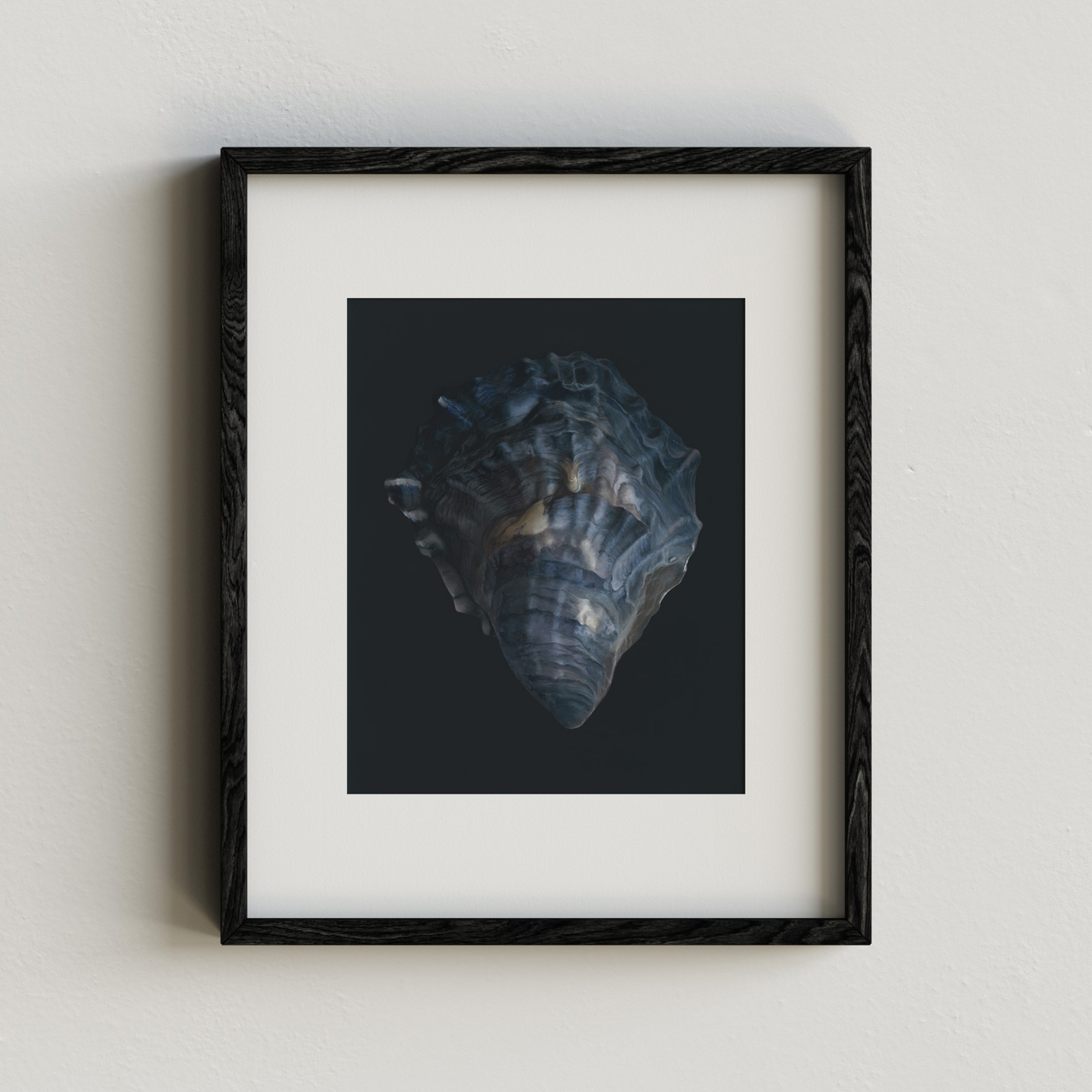 'Oyster Shell No. 4' Limited Edition Print