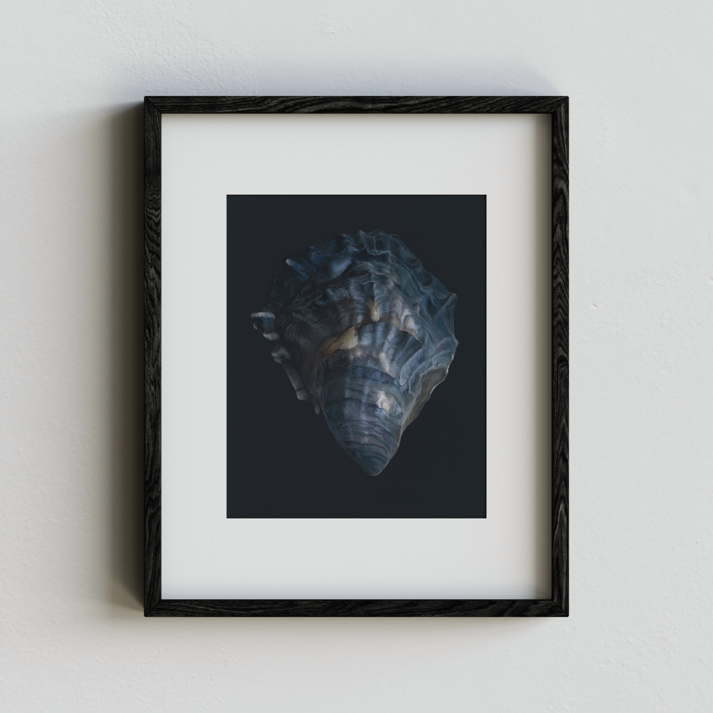 'Oyster Shell No. 4' Limited Edition Print