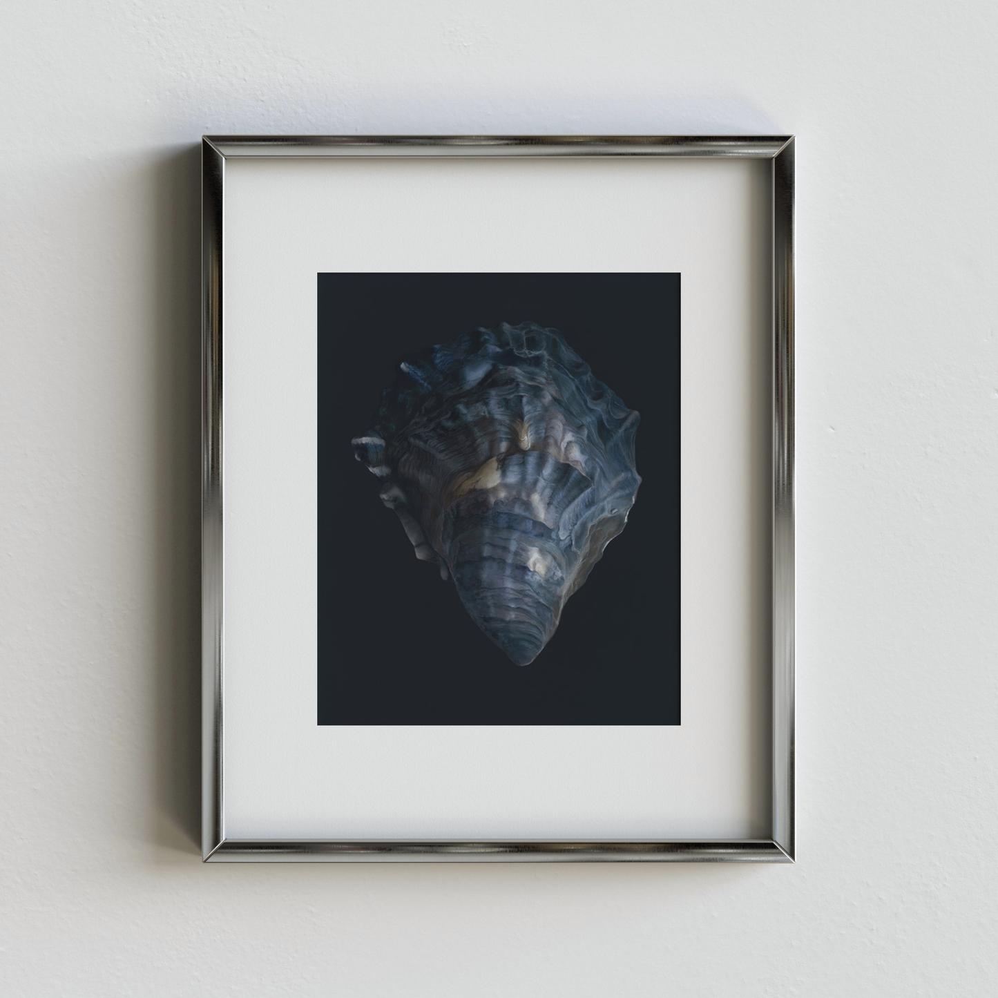 'Oyster Shell No. 4' Limited Edition Print