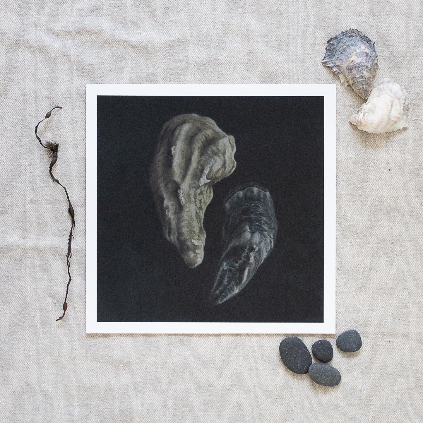 'Oyster Shell Duo' Limited Edition Print