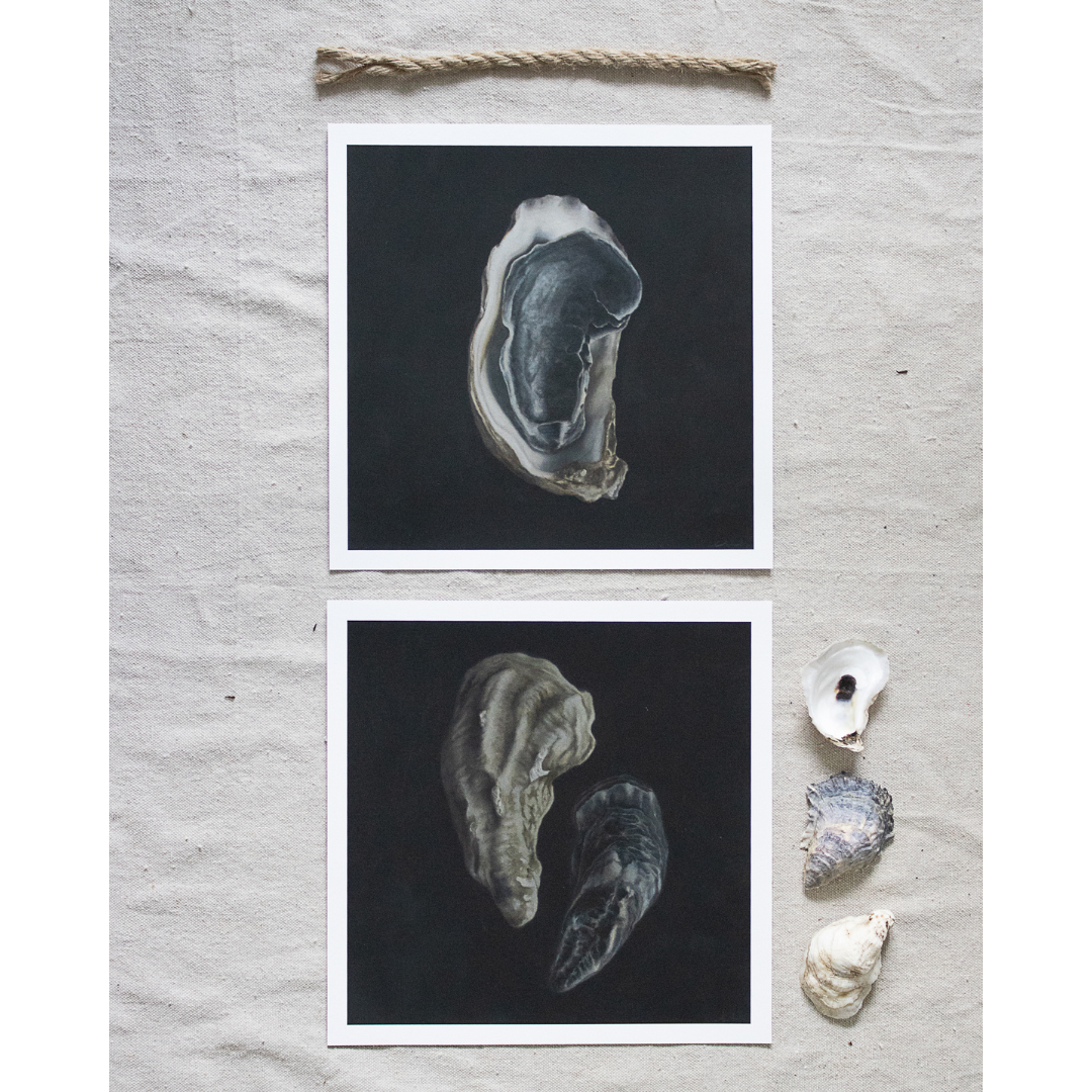 'Oyster Shell' Limited Edition Print Set