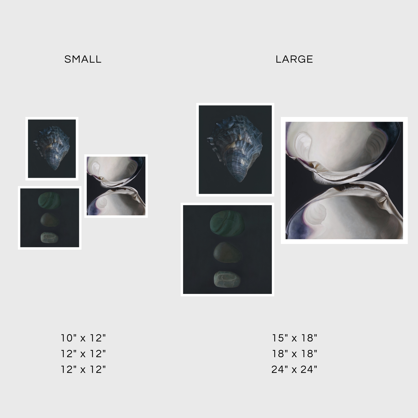 Oyster Shell No. 4 | Stone Trio No. 5 | Quahog Duo Triptych
