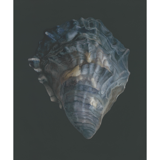 Oyster Shell No. 4