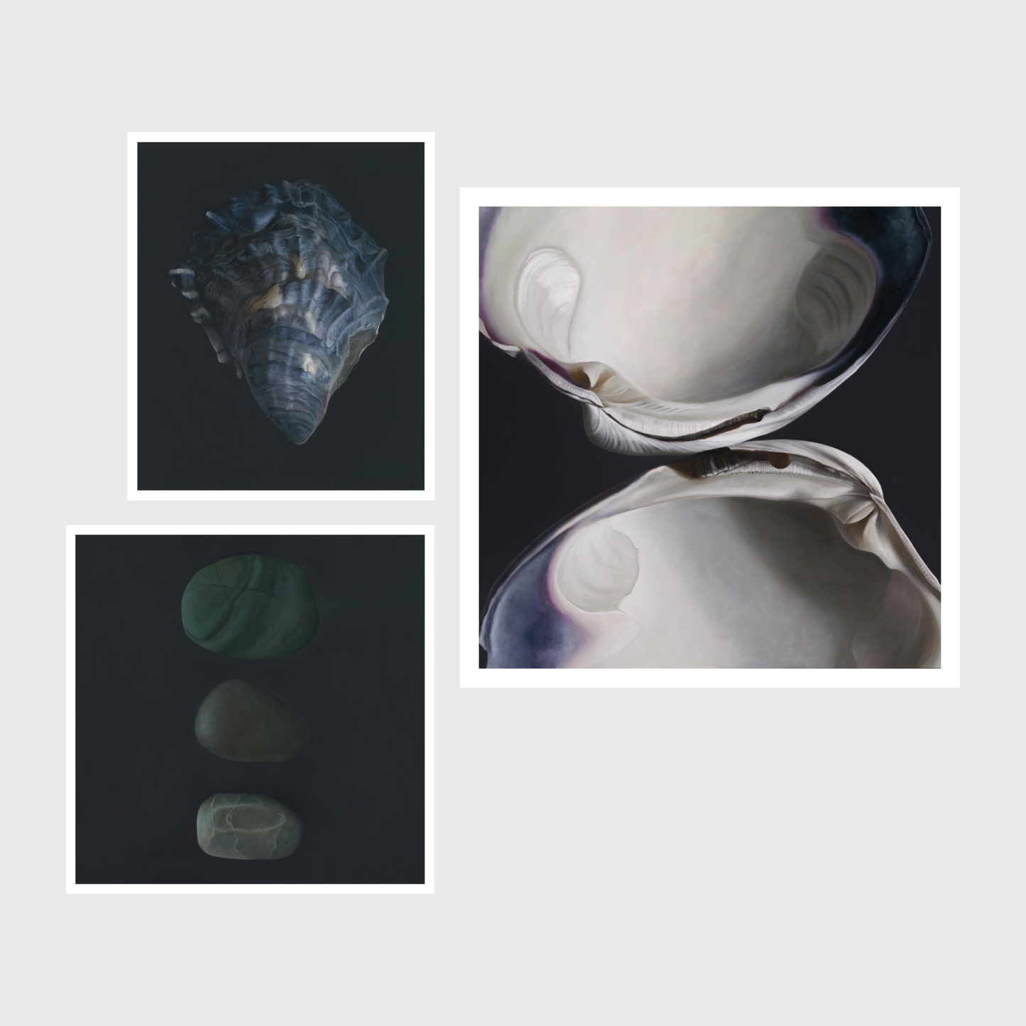 Oyster Shell No. 4 | Stone Trio No. 5 | Quahog Duo Triptych