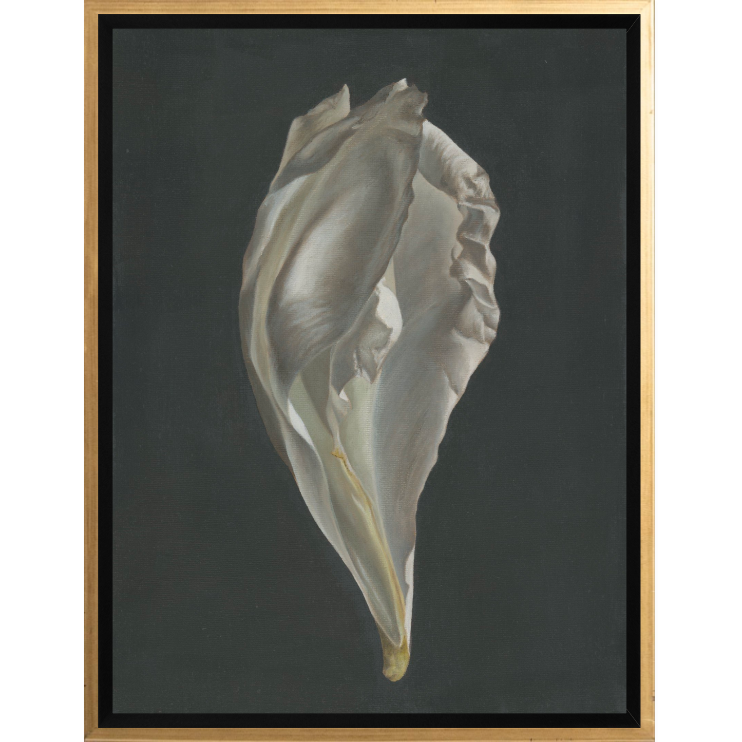 Peony Petals No. 2 Framed Canvas Print