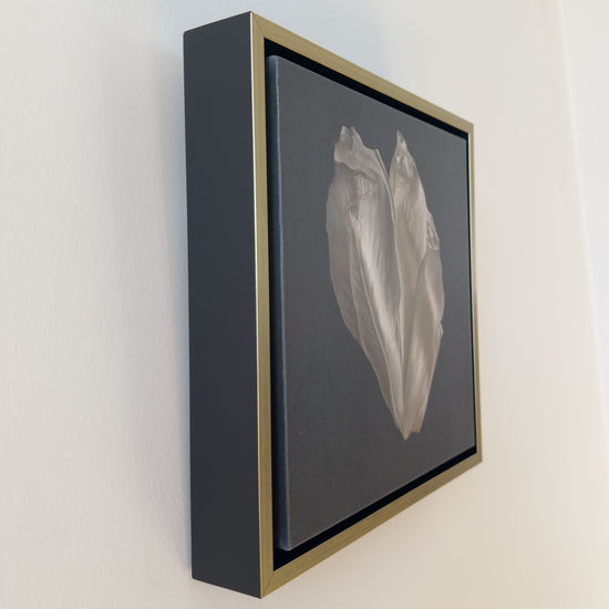 Peony Petals No. 3 Framed Canvas Print