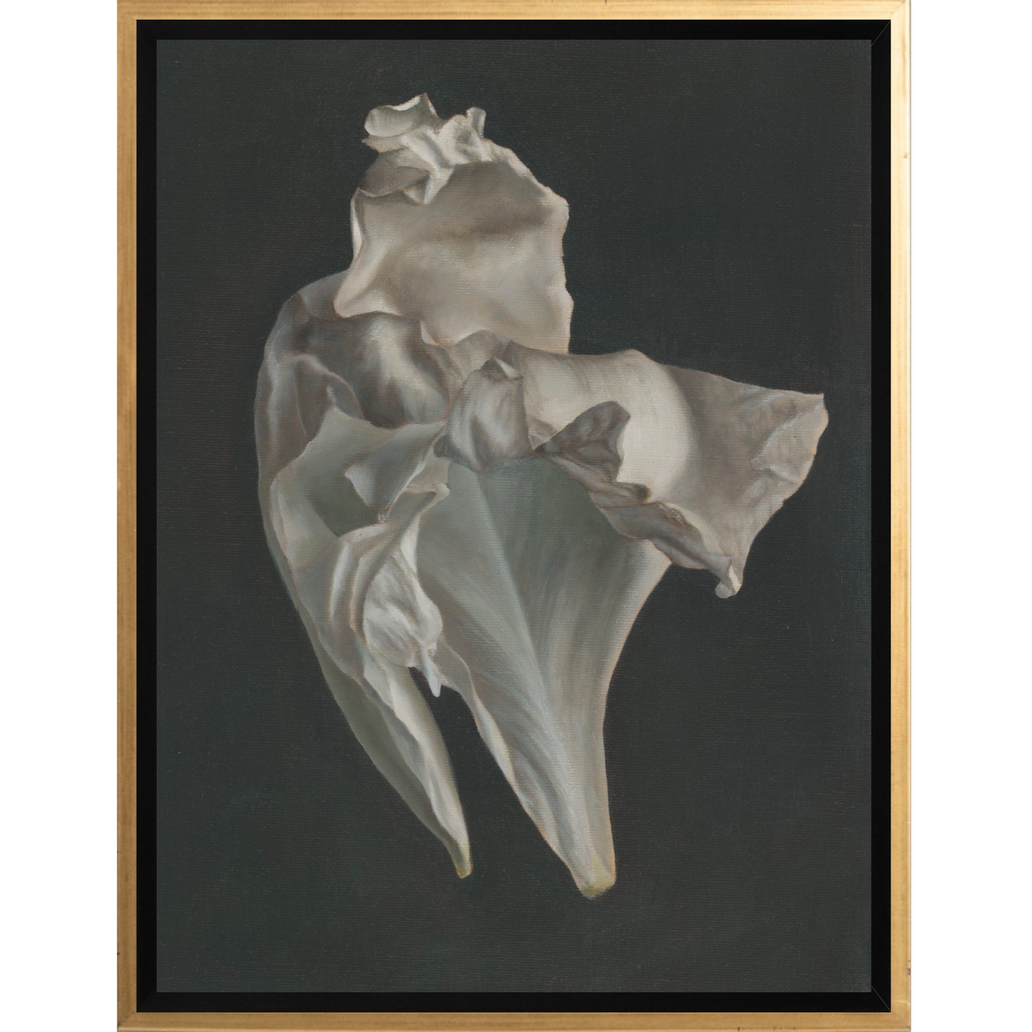 Peony Petals No. 4 Framed Canvas Print