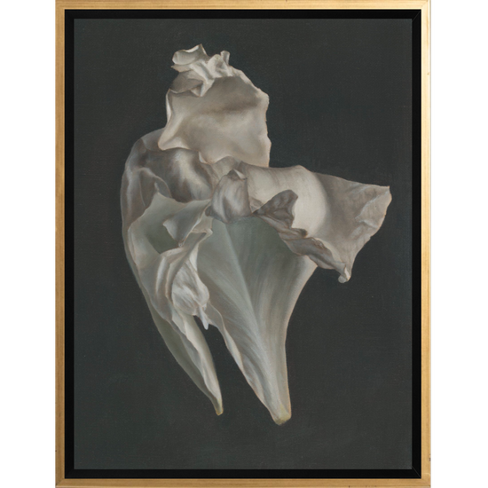 Peony Petals No. 4 Framed Canvas Print