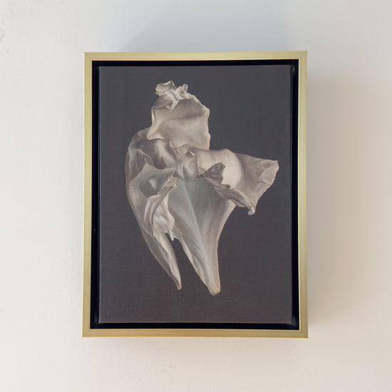 Peony Petals No. 4 Framed Canvas Print