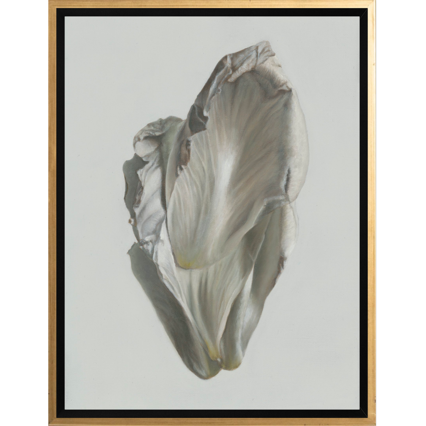 Peony Petals No. 8 Framed Canvas Print